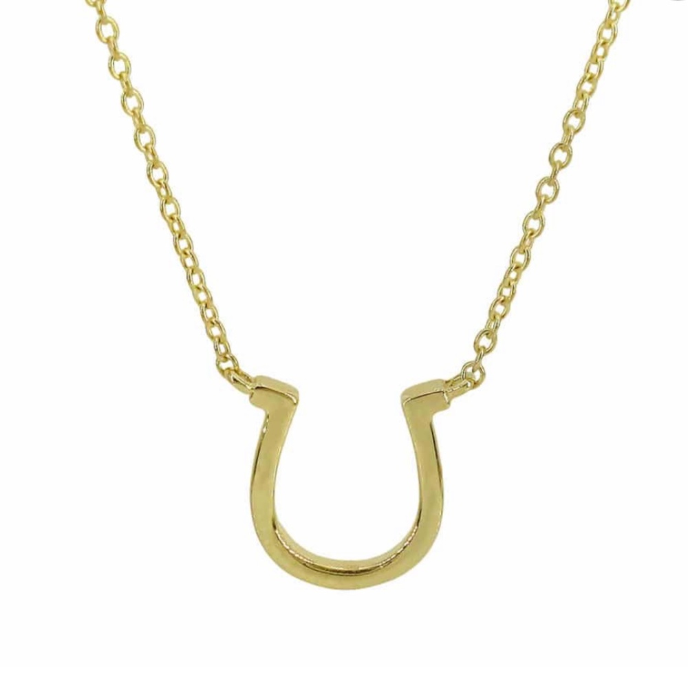 Horseshoe Necklace in 10kt Yellow Gold